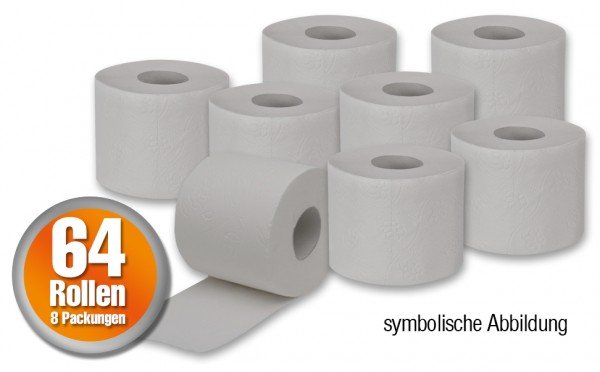 64 Rollen Toilettenpapier - 250 Blatt pro Rolle 2-lagig in naturweis / grau